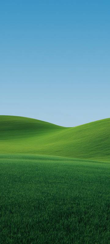 Simple landscape phone wallpaper, blue sky, green grass