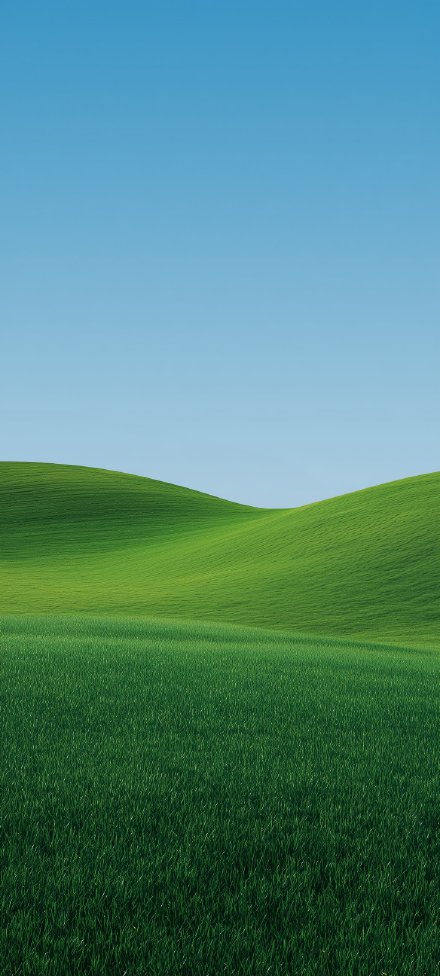 Simple landscape phone wallpaper, blue sky, green grass