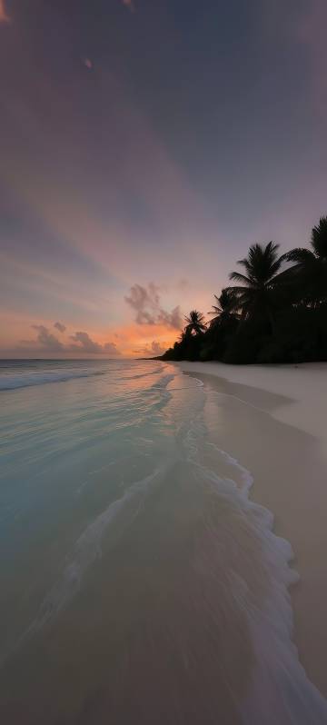 Seaside scenery phone wallpaper, sunset, beach, waves, palm trees