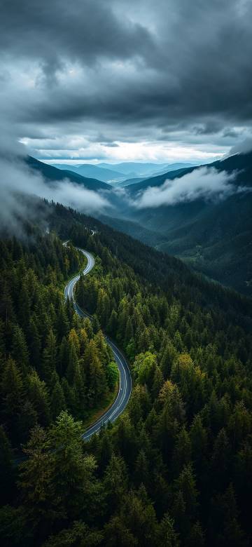 Road in the depth of mountains and forests phone wallpaper