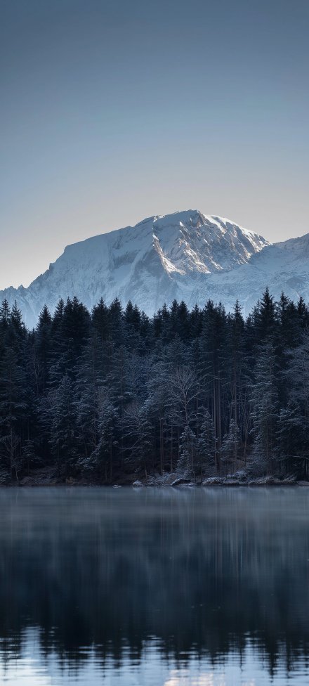 Phone wallpaper: mountains, forests, calm lake