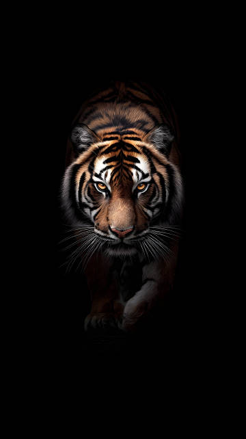 Tiger on Black 4K Phone Wallpaper