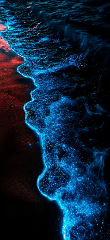 Bioluminescent Waves on a Dark Beach Wallpaper