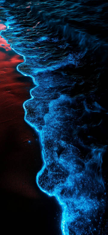 Bioluminescent Waves on a Dark Beach Wallpaper