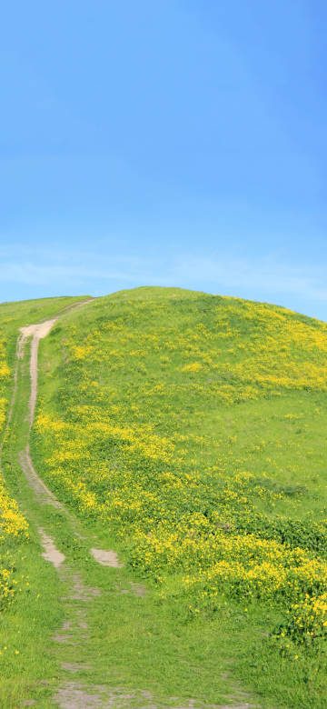 Scenic Blue Sky And Green Mountain 4K Wallpaper