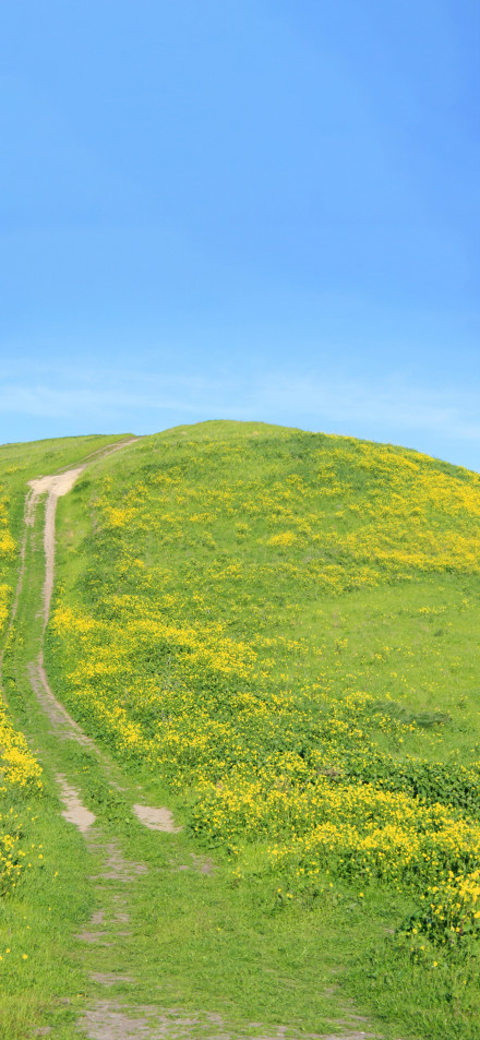 Scenic Blue Sky And Green Mountain 4K Wallpaper