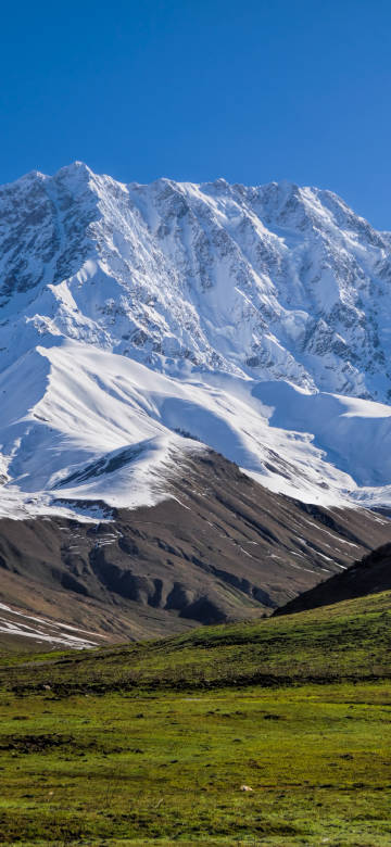 Landscape Wallpaper: Snow Mountain, Green Grass, Blue Sky