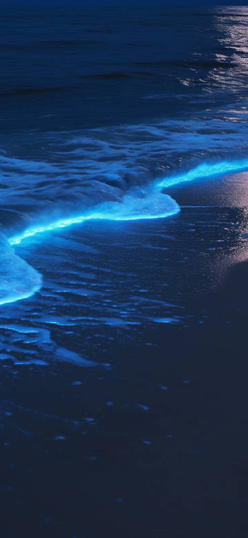 Dark 4K Wallpaper: Glowing Beach, Mysterious, Deep Blue Sea Free Download