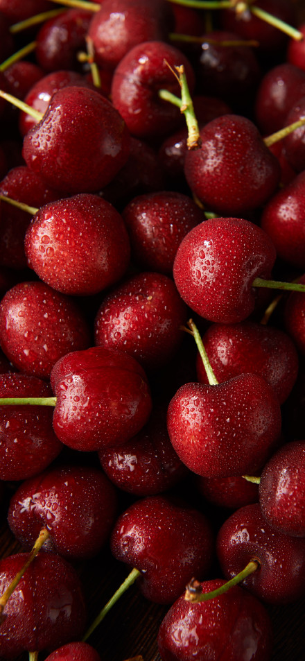 Fresh Red Cherries Close-Up 4K Wallpaper