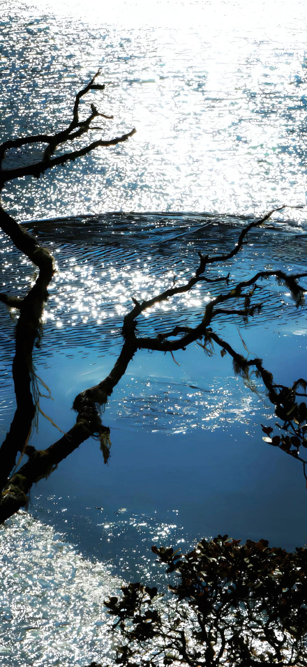 Landscape Phone Wallpaper: Deep Blue Water, Sunlight Glare, Nature, Calming