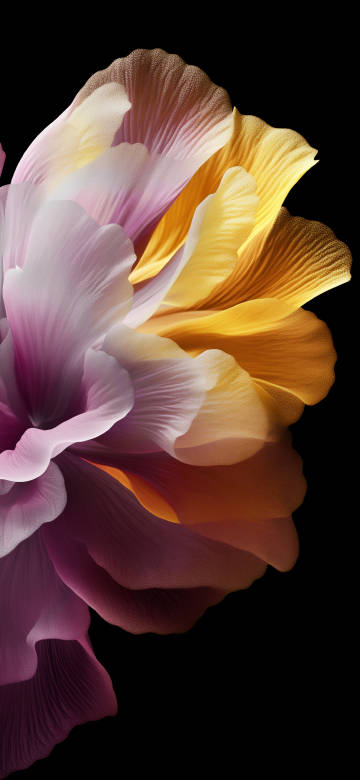 Abstract gorgeous floral aesthetic 4K wallpaper