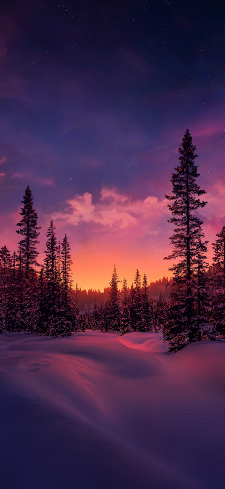 Dreamy Snow Wallpaper: Purple Pink Sky, Forest, Dawn 4K HD