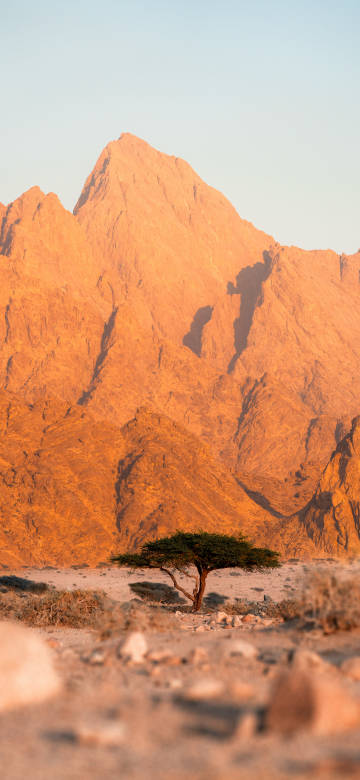 Stunning golden mountains at sunset 4K Wallpaper