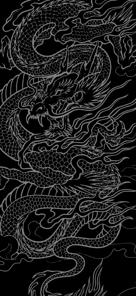 Gray lines outlining the pattern of a dragon Wallpaper