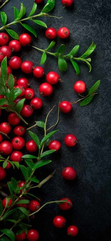 Red berries on dark textured background 4K wallpaper