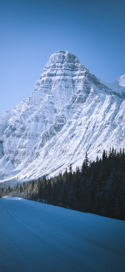 Snowy Mountain 4K Wallpaper:  Winter, Pine Trees, Blue Sky