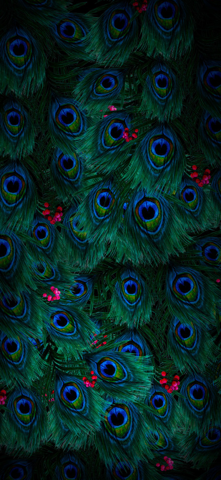 Gorgeous Dark Peacock Feathers 4K Wallpaper