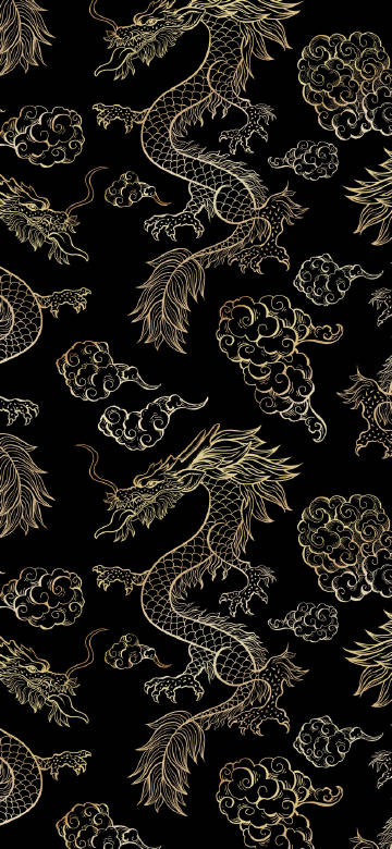 Minimal Dragon Pattern Wallpaper