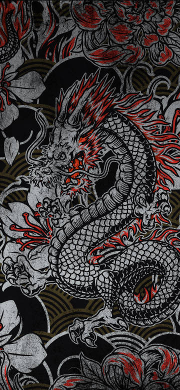 Dragon Illustration on Black Bac