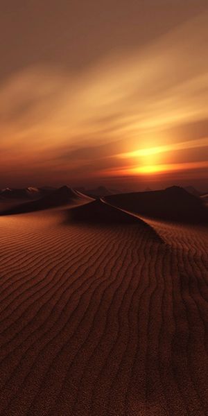 Breathtaking Sunset Over the Dunes - Mobile Wallpaper