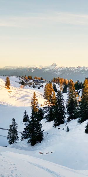 Breathtaking Winter Scene with Snow-Covered Trees and Mountains