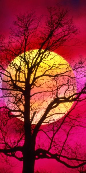 Phone wallpaper: Moon, Sunset, Artistic free download