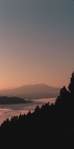 Breathtaking iPhone Wallpaper: Twilight Mountains and Misty Forests