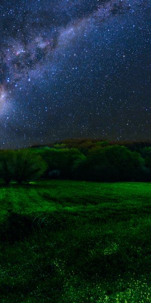 Milky Way Galaxy Over a Lush Green Night Landscape