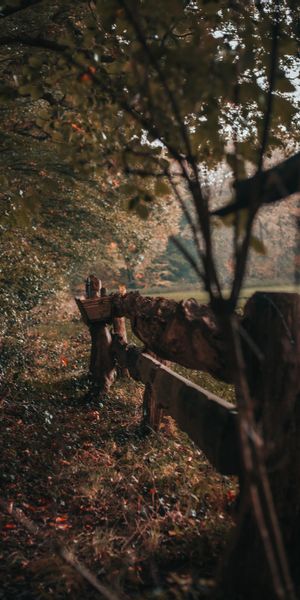 Phone wallpaper: Nature, Wood, Fence, Bush, Trees, Wooden free download