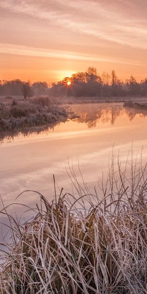 Phone wallpaper: Handsomely, Grass, Rivers, Nature, It's Beautiful, Sunset free download