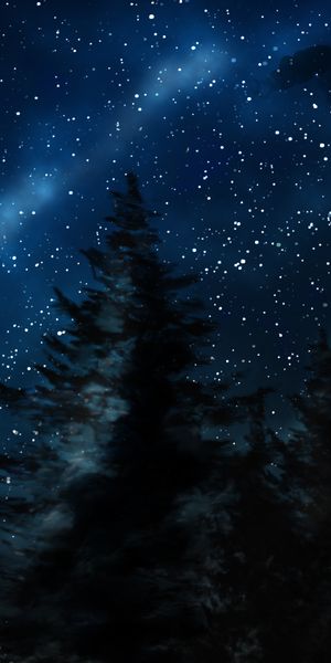4K Winter Forest Wallpaper: Pine Trees Under a Starry Night Sky