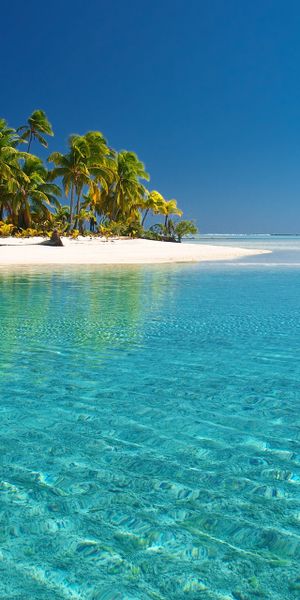 Beautiful Tropical Beach with Clear Turquoise Waters and Palm Trees