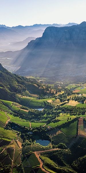 Breathtaking Aerial View of Lush Green Landscape