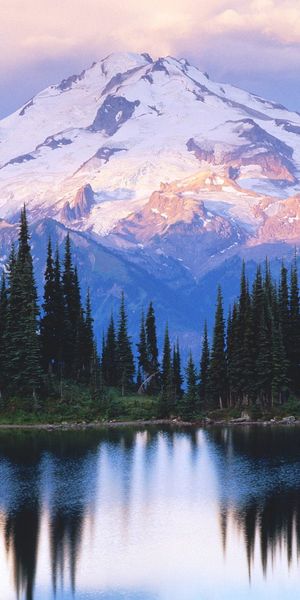 Snow-Capped Mountains and Reflective Forest Wallpaper
