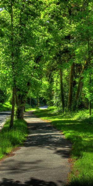 Serene Summer Pathway Surrounded by Trees in Wetzlar, Germany