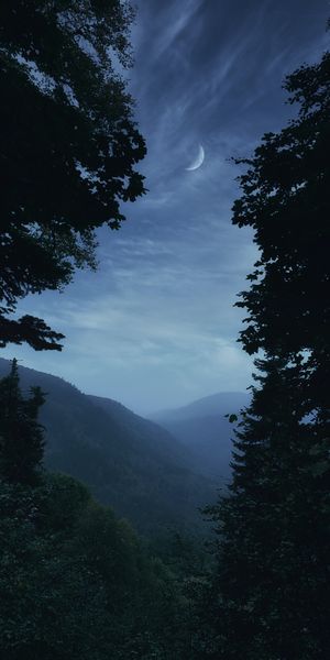 Aesthetic Twilight Landscape with Fog and Moonlight