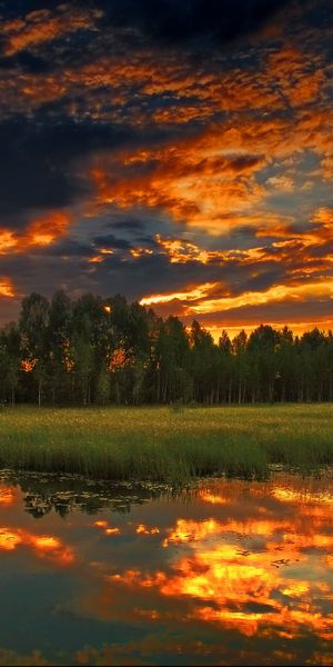 Phone wallpaper: Flowers In The Attic, Lake, Tree, Earth, Sunset, Sky free download