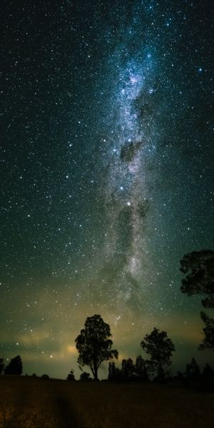 Breathtaking Starry Sky Over Nature - Perfect Mobile Wallpaper
