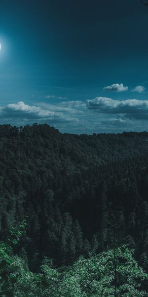 Moonlit Forest Landscape with Majestic Mountains