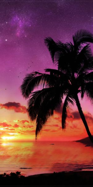 Free phone wallpaper featuring a breathtaking sci-fi sunset with palm trees