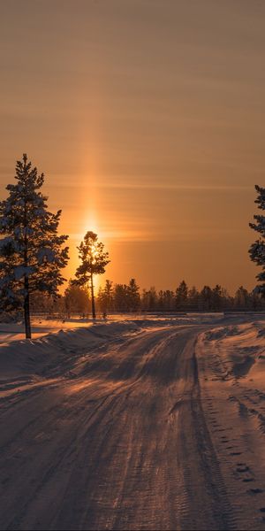 Breathtaking Winter Sunset Along a Snowy Road with Fir Trees