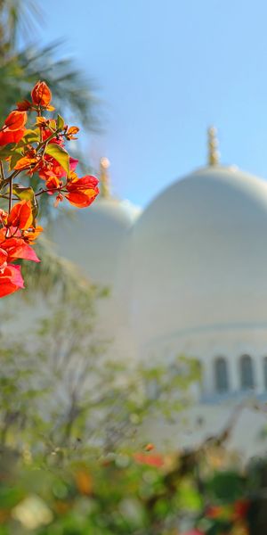 Phone wallpaper: Flower, Blur, Dome, Mosque, Religious, Mosques free download