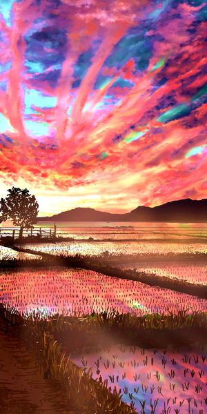 Phone wallpaper: Anime, Nature, Sunset, Sky, Cloud, Paddy Field free download