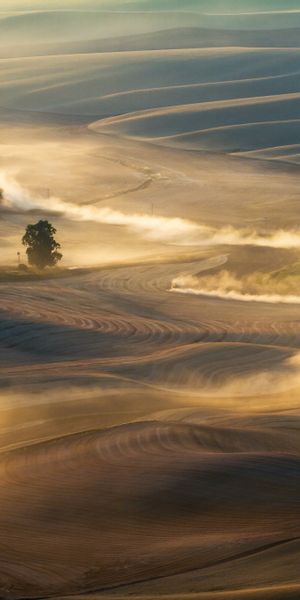 Phone wallpaper: Landscape, Nature, Fog, Earth, Field, Hill free download