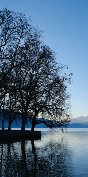 Lakeside Scene with Silhouetted Trees and Mountains
