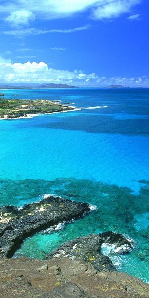 Vibrant Beach Landscape with Crystal Clear Waters