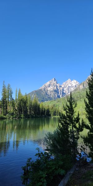 Breathtaking Mountain Lake View with Lush Greenery