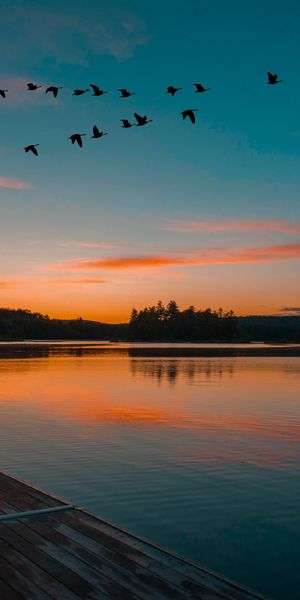 Breathtaking Sunset Over Tranquil Lake with Birds in Flight