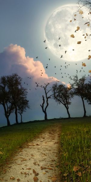 Artistic Landscape Featuring a Moonlit Scene with Trees