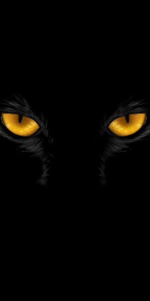HD Black Cat Eyes Wallpaper for Mobile Devices